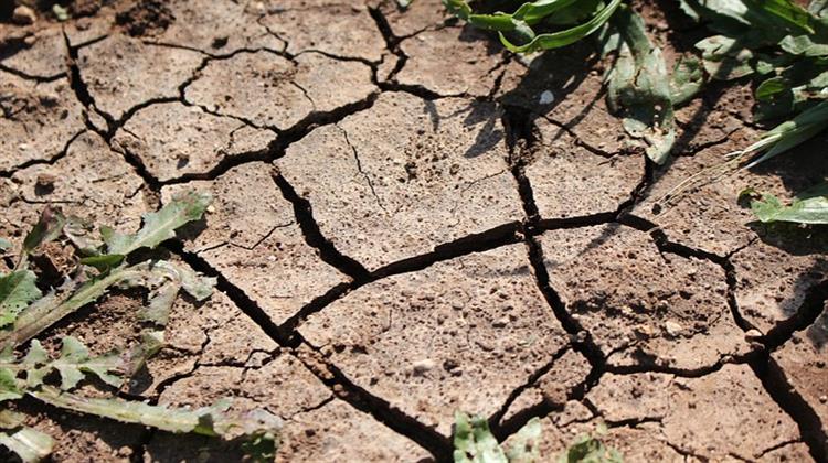 ΕΕ: Στα 50 δισ. Ευρώ Φτάνει το Κόστος για τα μη Υγιή Ευρωπαϊκά Εδάφη